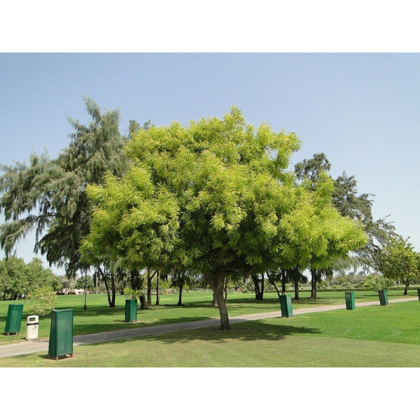 BA-TR2003-1