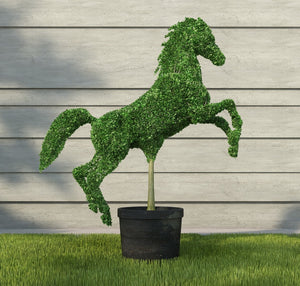 مجسم نباتي طبيعي الحصان العربي 