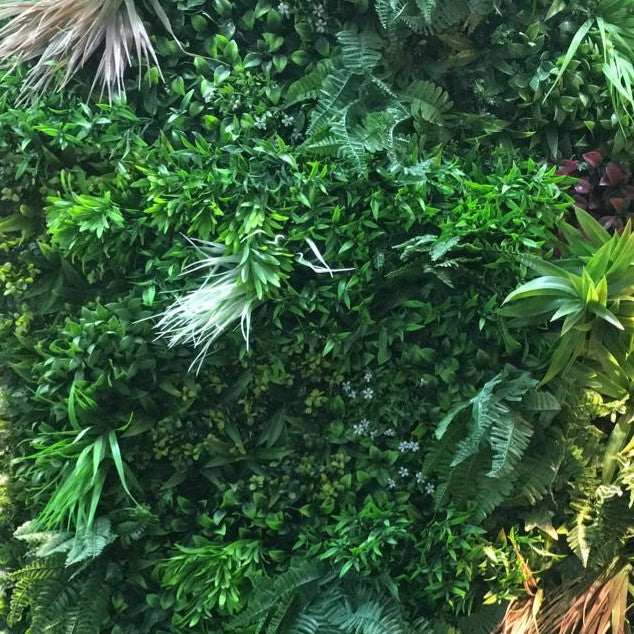 Mixed rain forest artificial vertical garden