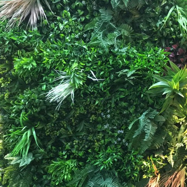 مغطيات نباتية صناعية - حدائق جدارية نباتات الغابات المطرية  