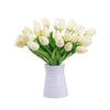 Tulipa sp. Tulips  ( The perfect love flower)