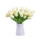 Tulipa sp. Tulips  ( The perfect love flower)