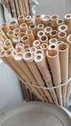 Bambusa vulgaris -bamboo (Spiral/ Straight)