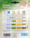 Celosia argentea-Celosia flower seeds-Italy