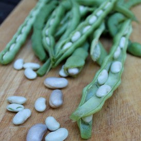 Phaseolus vulgaris-climbing bean seeds-Italy
