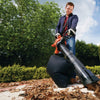 Black and Decker 3000W Leaf Blower and Vacuum
