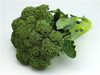 Brassica oleracea-sprouting broccoli seeds- Italy