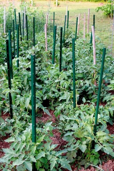 Plant Support Garden Stakes - 1m, 1.5m, 2m, 2.5m