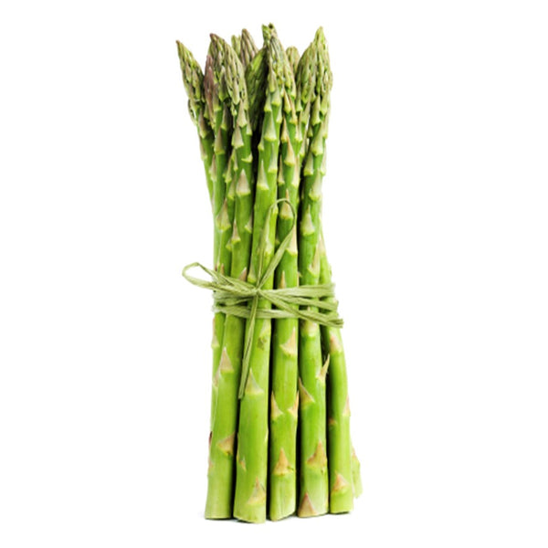 Asparagus officinalis- Asparagus seeds-Italy
